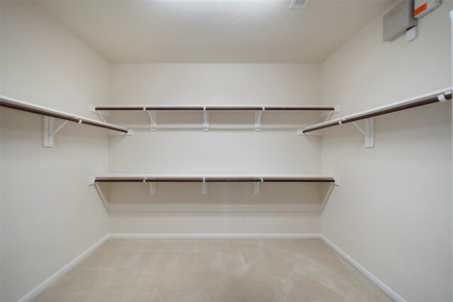 spacious closet with light colored carpet