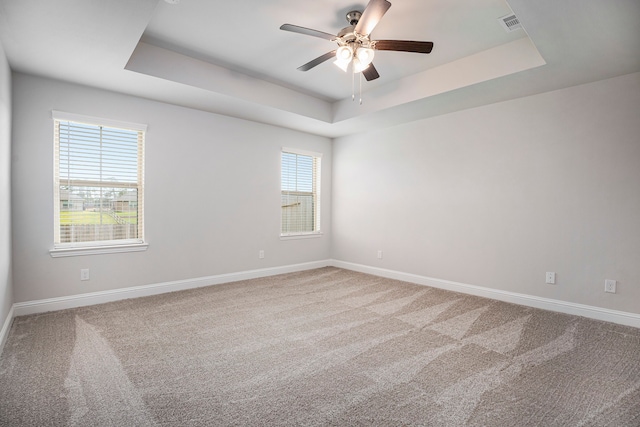 spare room featuring a raised ceiling, carpet flooring, and a wealth of natural light