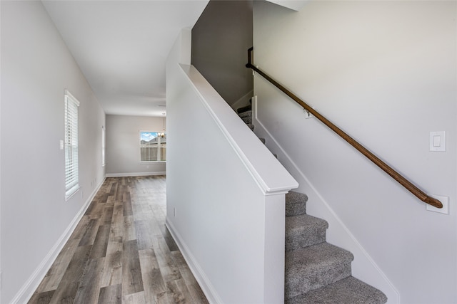 stairs with wood-type flooring