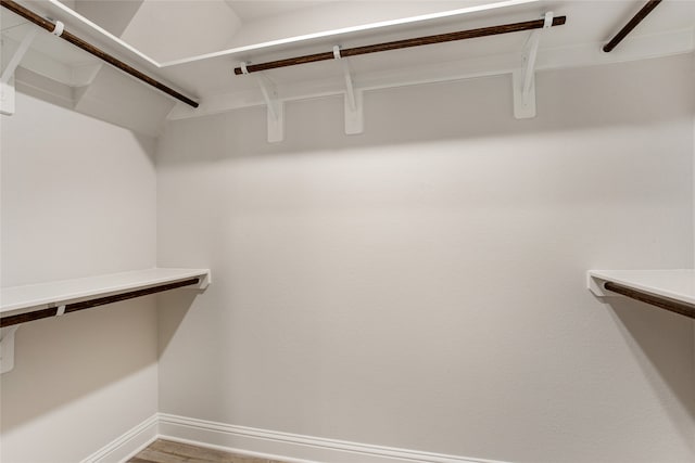 spacious closet with hardwood / wood-style flooring