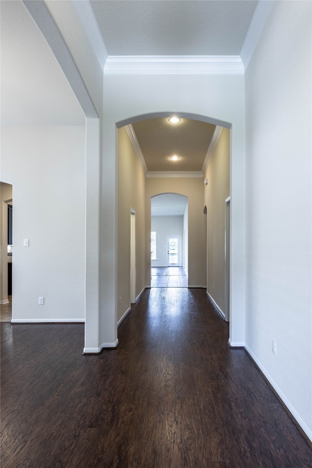 corridor with crown molding and dark hardwood / wood-style flooring