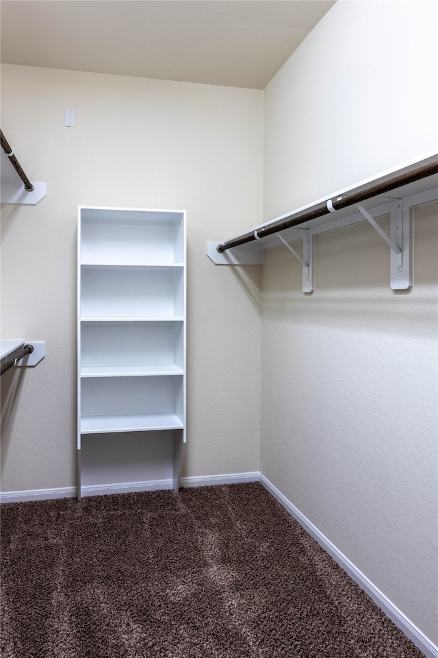 spacious closet with carpet floors