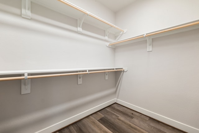 walk in closet with hardwood / wood-style floors