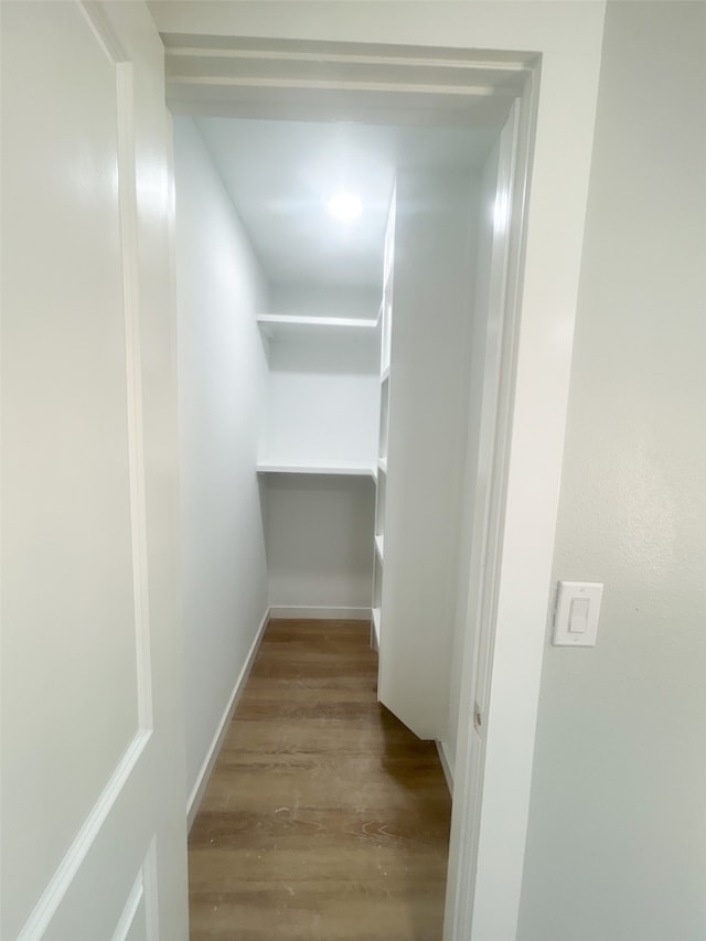 spacious closet with light wood-type flooring