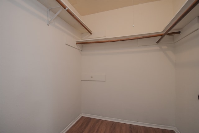 spacious closet with dark hardwood / wood-style flooring