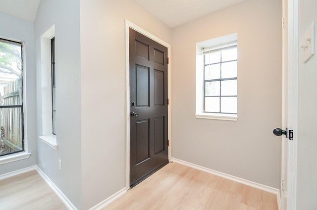 entryway with plenty of natural light and light hardwood / wood-style flooring