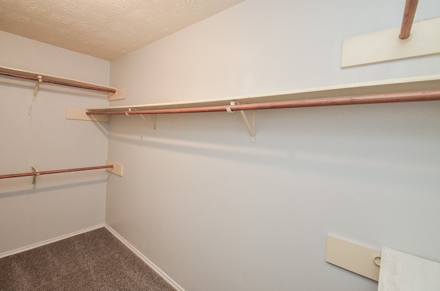 spacious closet featuring carpet floors