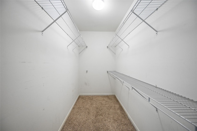 walk in closet with carpet