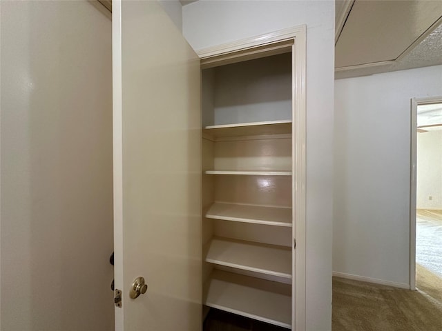 view of closet