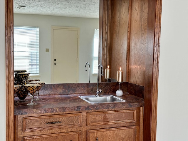 bathroom featuring vanity, a textured ceiling, and a wealth of natural light