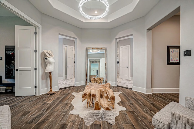 hallway with a raised ceiling and dark hardwood / wood-style floors