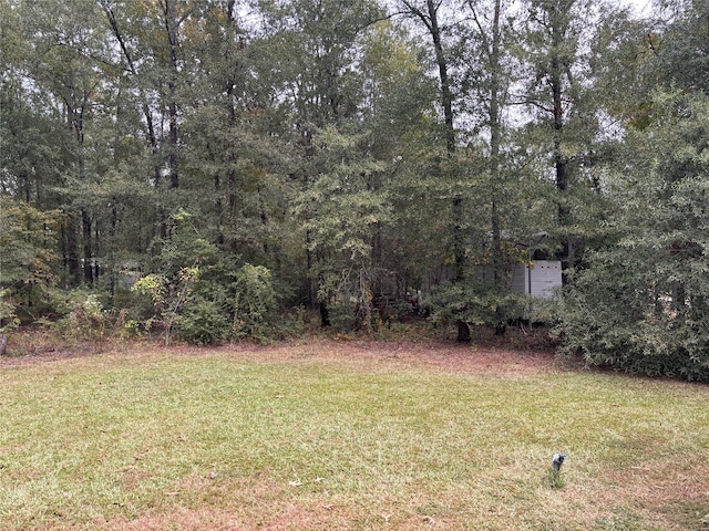 272 Parkpine, Livingston TX, 77351 land for sale