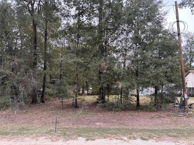 Listing photo 3 for 272 Parkpine, Livingston TX 77351