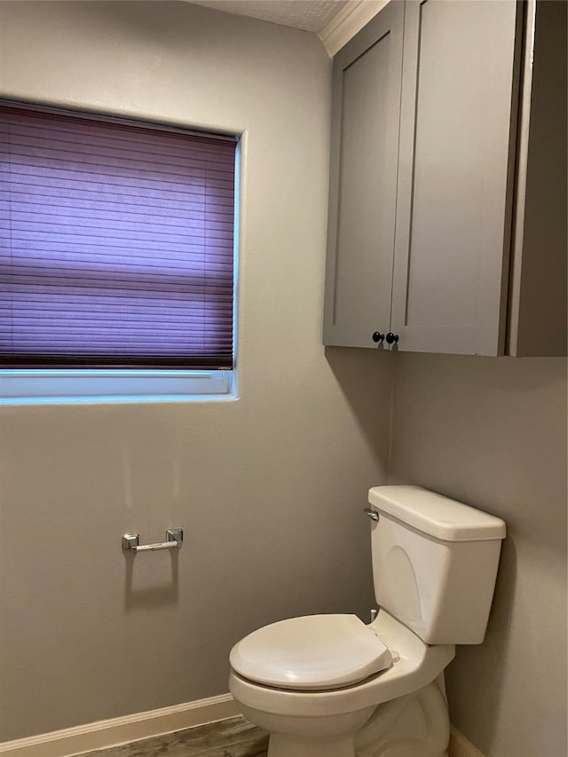 bathroom with hardwood / wood-style floors and toilet