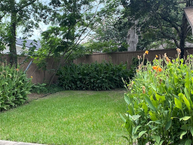 9614 Greenwillow St, Houston, TX 77096 - view of yard