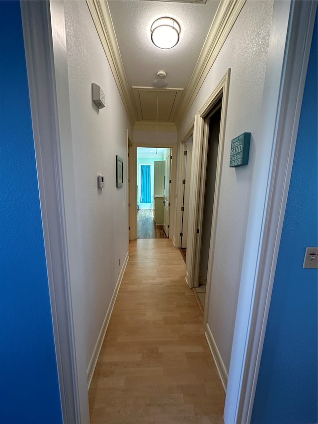 corridor featuring light hardwood / wood-style floors, ornamental molding, and a textured ceiling