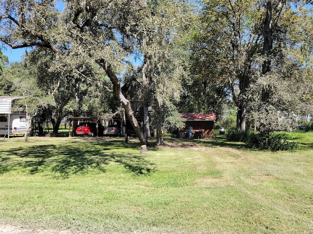 view of yard featuring a carport