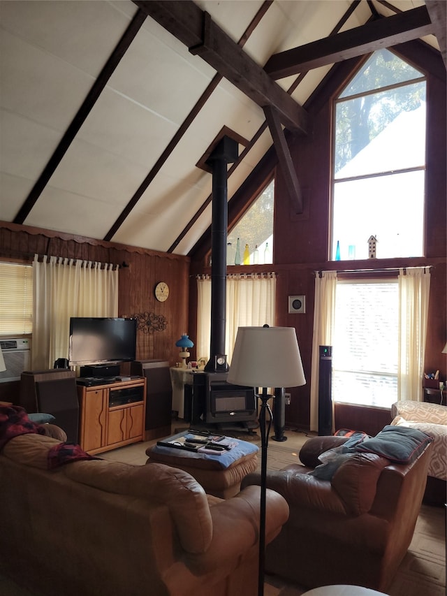 living room featuring wood walls, a wood stove, and a healthy amount of sunlight