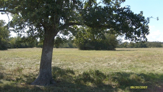 0000 County Road 103, Iola TX, 77861 land for sale