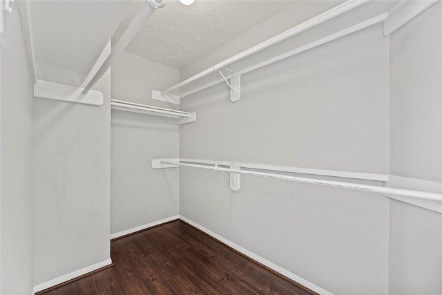 spacious closet with dark wood-type flooring