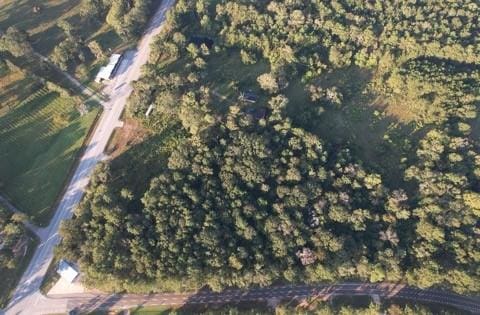 51 W Fm 2693rd Rd N, New Waverly, TX 77358