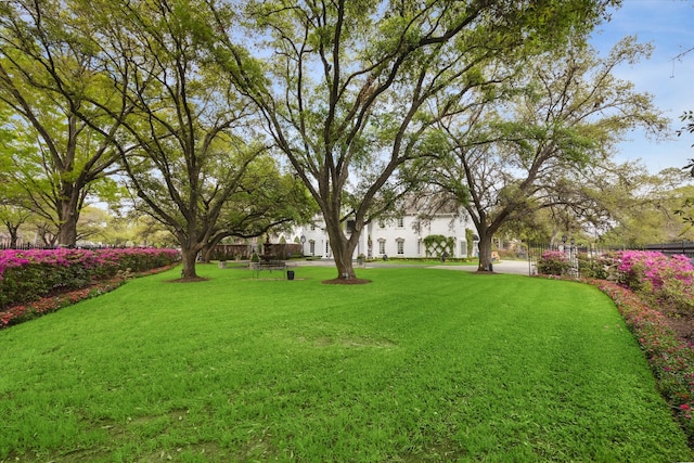 view of yard