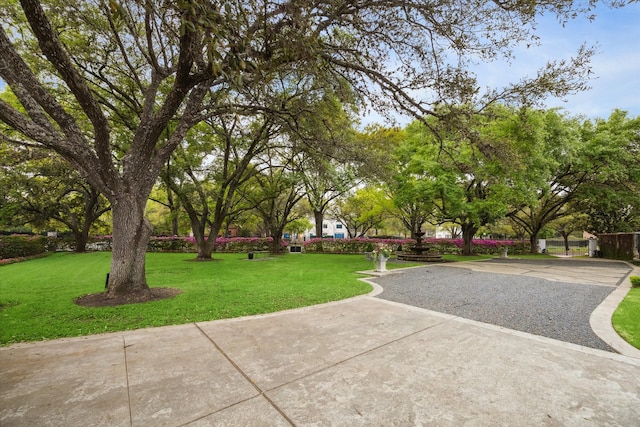 exterior space with a yard