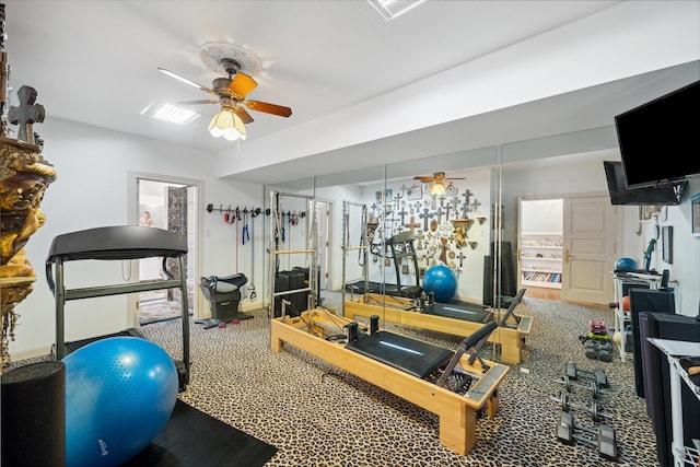 exercise room with ceiling fan and carpet floors