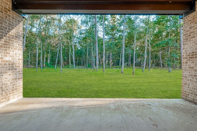 view of yard featuring a patio area