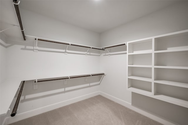 walk in closet featuring carpet flooring