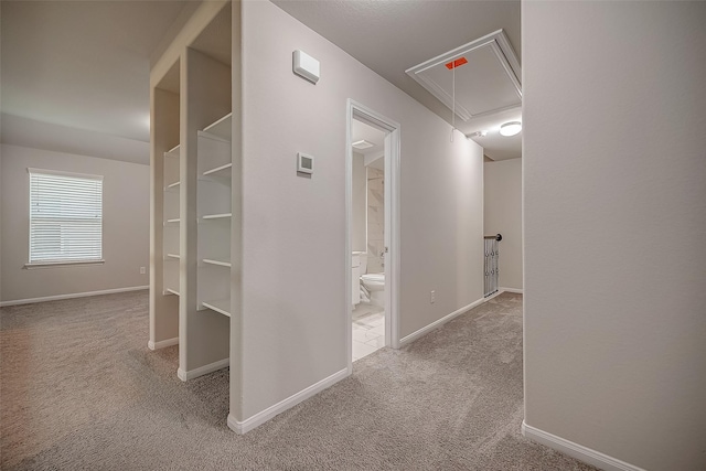 3423 Hackberry Tree Ln, Katy, TX 77449 - hall featuring attic access, carpet flooring, and baseboards
