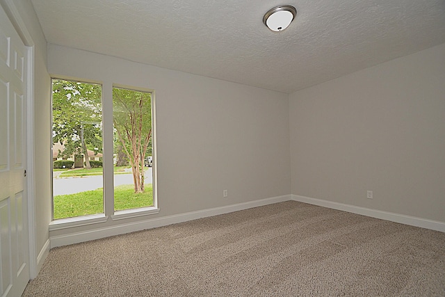 spare room with a textured ceiling, plenty of natural light, and carpet