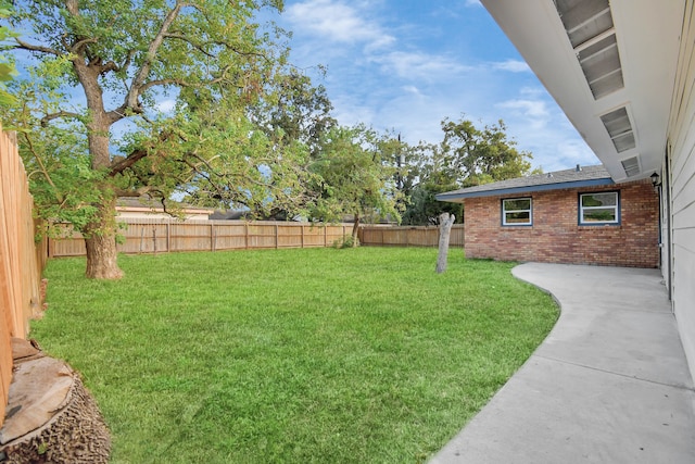 view of yard with a patio