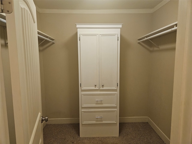 walk in closet featuring dark carpet