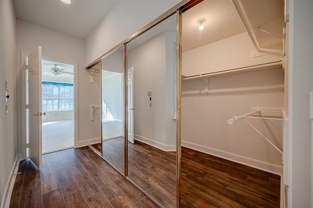 interior space featuring ceiling fan and dark hardwood / wood-style floors