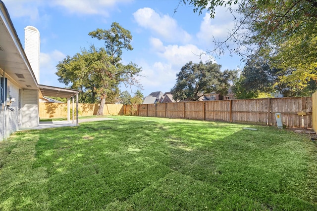 view of yard featuring a patio area