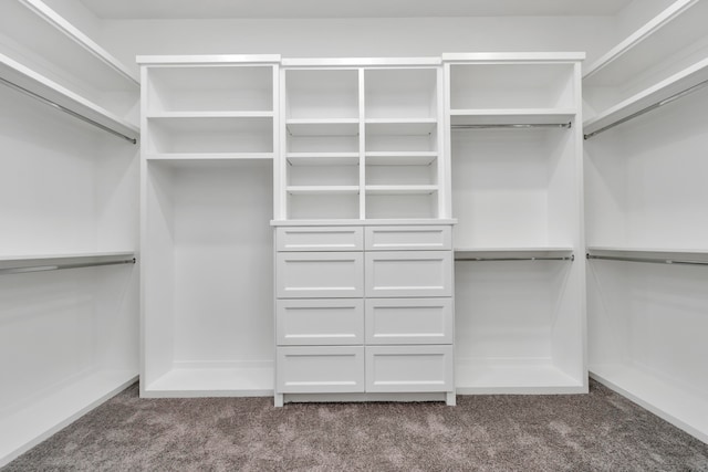 walk in closet featuring carpet floors