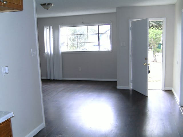 interior space with dark hardwood / wood-style floors