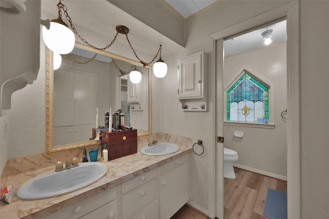 bathroom with vanity, hardwood / wood-style floors, and toilet