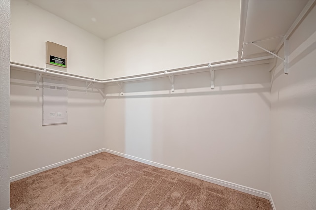 walk in closet featuring carpet flooring