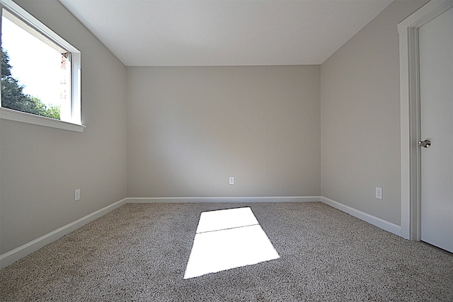 unfurnished room with carpet flooring