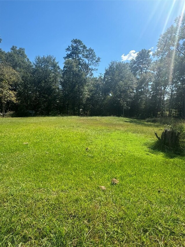 TBDLOT15, 16 Frontier Rd, Willis, TX 77378 - photo 2