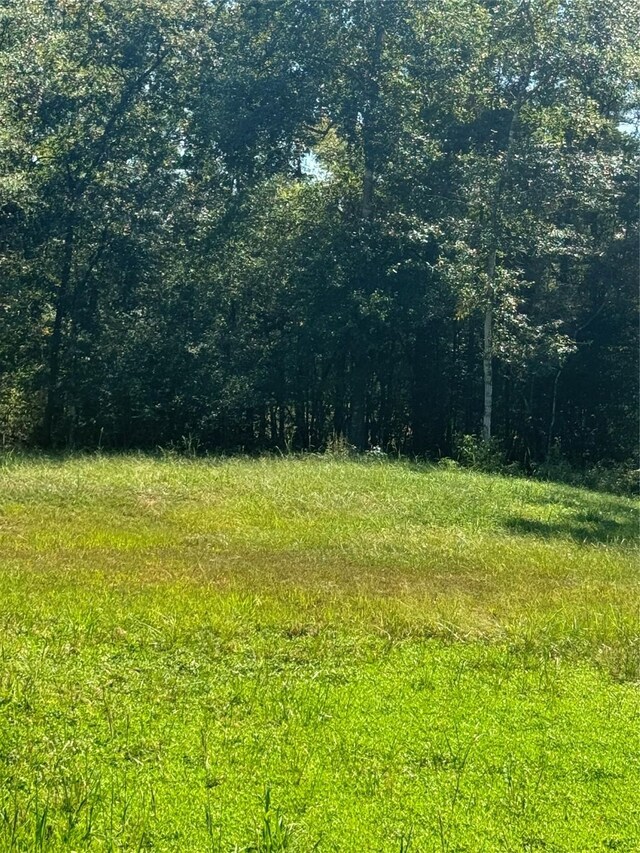 TBDLOT15, 16 Frontier Rd, Willis, TX 77378 - photo 4