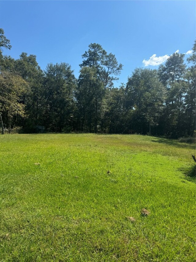 TBDLOT15, 16 Frontier Rd, Willis, TX 77378 - photo 5