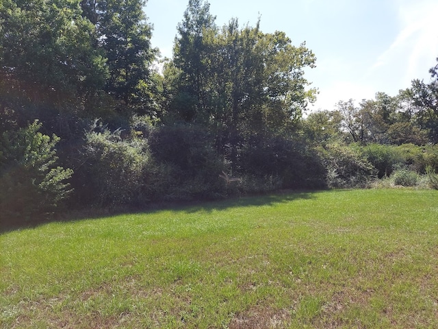 Listing photo 2 for 0 Buchanan Rd, Texarkana TX 75501