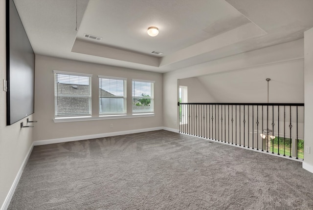 empty room featuring a tray ceiling, carpet flooring, and a healthy amount of sunlight