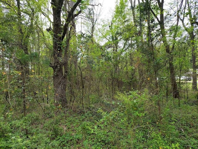 Listing photo 3 for 2648 Gun Club Rd, Texarkana TX 75501