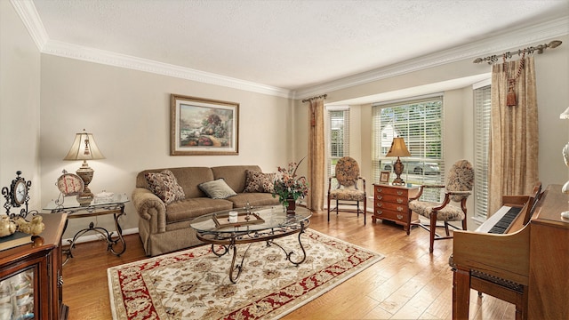 living room featuring ornamental molding, wood-type flooring, and a textured ceiling