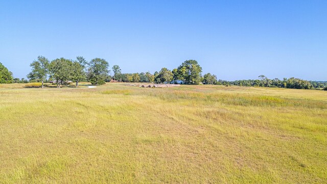 46 Trailridge Rd, Huntsville, TX 77320 - photo 5