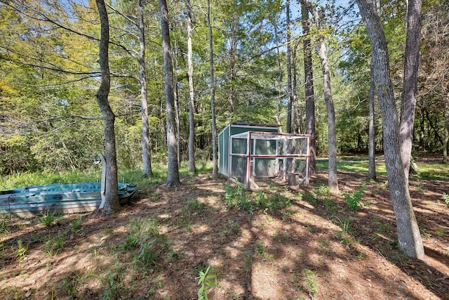 view of yard featuring a shed